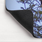 Tapis De Souris Aigle de Bald (Coin)