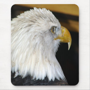 Tapis De Souris Aigle de Bald