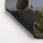 Tapis De Souris Aigle de Bald - Mousepad (Coin)