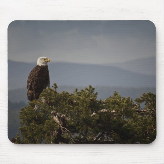Tapis De Souris Aigle de Bald - Mousepad (Devant)