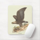 Tapis De Souris Aigle d'or (Aquila chrysaetos) NY Bird Image (Avec souris)