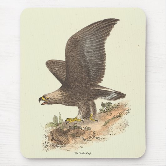 Tapis De Souris Aigle d'or (Aquila chrysaetos) NY Bird Image (Devant)