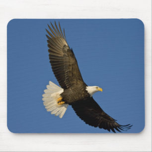 Tapis De Souris Aigle, Haliaeetus leucocephalus, Homer,