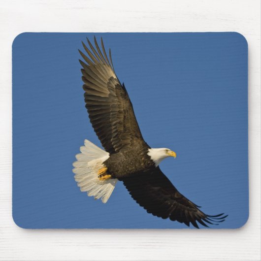 Tapis De Souris Aigle, Haliaeetus leucocephalus, Homer, (Devant)