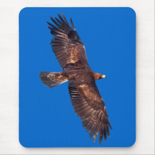 Tapis de souris Aigle royal en vol (Bleu)