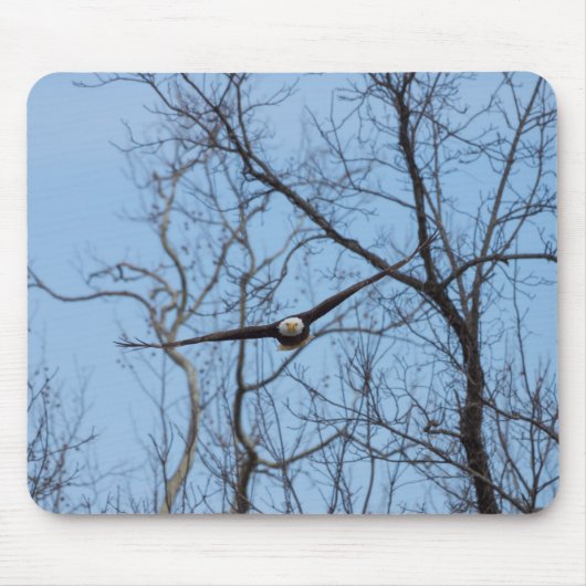 Tapis De Souris Aigle tout droit (Devant)