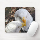 Tapis De Souris aigles (Avec souris)
