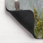 Tapis De Souris Aigles chauds | Tongass National Forest Alaska (Coin)