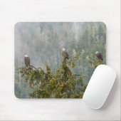 Tapis De Souris Aigles chauds | Tongass National Forest Alaska (Avec souris)