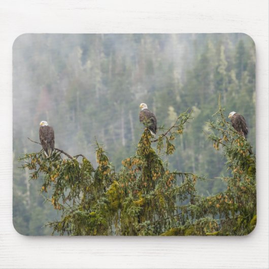 Tapis De Souris Aigles chauds | Tongass National Forest Alaska (Devant)
