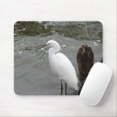 Tapis De Souris Aigrette chantant (Avec souris)