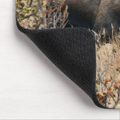 Tapis De Souris Aiguille (Coin)