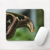 Tapis De Souris Ailes d'Atlas Mousepad (Avec souris)