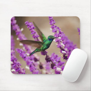 Tapis De Souris Ailes de colibri de Violet-oreilles de