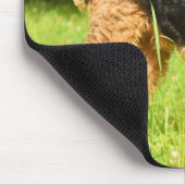 Tapis De Souris Airedale Terrier Chien chiot (Coin)