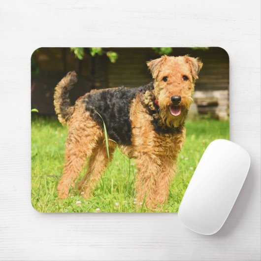 Tapis De Souris Airedale Terrier Chien chiot (Avec souris)