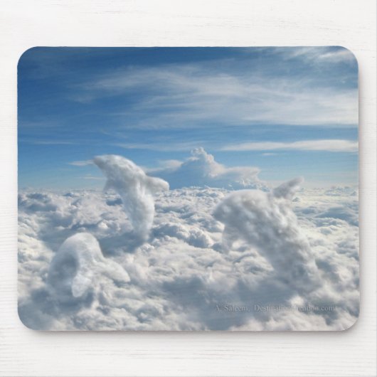 Tapis De Souris Airquatics (Devant)