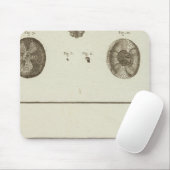 Tapis De Souris Alaska (Avec souris)