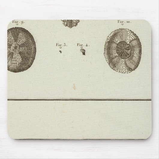 Tapis De Souris Alaska (Devant)