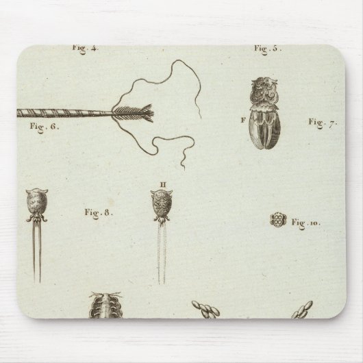 Tapis De Souris Alaska 3 (Devant)