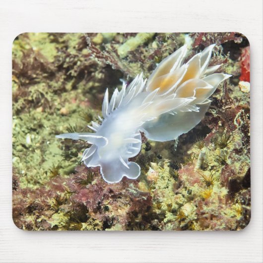 Tapis De Souris Albâtre Nudibranche (Devant)