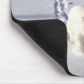 Tapis De Souris Alberta, Canada (Coin)