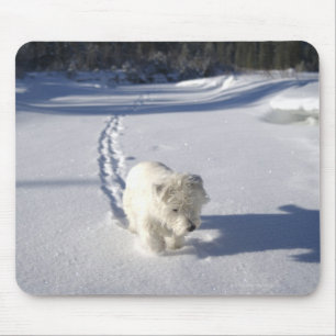 Tapis De Souris Alberta, Canada