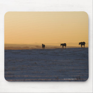 Tapis De Souris Alberta, Canada 3
