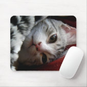 Tapis De Souris Alfie (Avec souris)