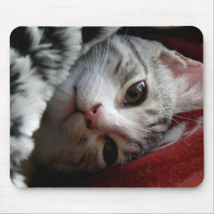 Tapis De Souris Alfie