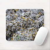 Tapis De Souris Algues (Avec souris)