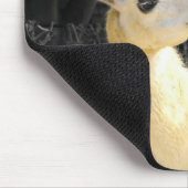 Tapis De Souris Alimentation de lama (Coin)