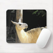 Tapis De Souris Alimentation de lama (Avec souris)