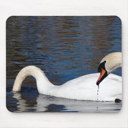 Tapis De Souris Alimentation des cygnes (Devant)