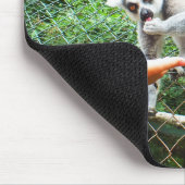 Tapis De Souris Alimentation d'un lémurien à queue ronde (Coin)