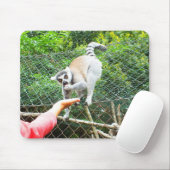 Tapis De Souris Alimentation d'un lémurien à queue ronde (Avec souris)