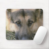 Tapis De Souris Allemand Shepard (Avec souris)