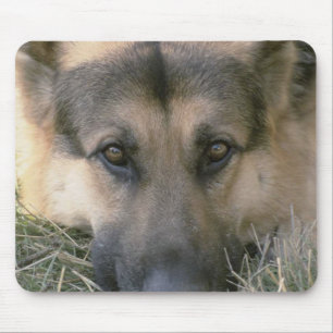 Tapis De Souris Allemand Shepard