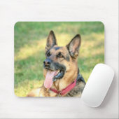 Tapis De Souris Allemand Shepard (Avec souris)