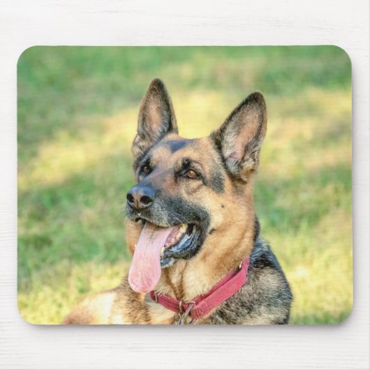 Tapis De Souris Allemand Shepard (Devant)