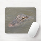 Tapis De Souris Alligator (Avec souris)