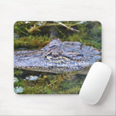 Tapis De Souris Alligator (Avec souris)