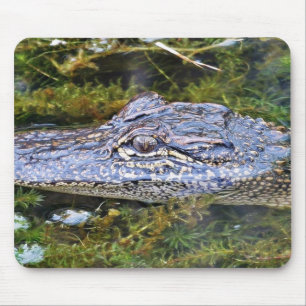 Tapis De Souris Alligator