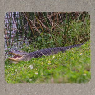 Tapis De Souris Alligator aux zones humides de Floride Photographi