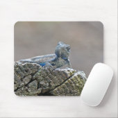 Tapis De Souris Alligator du ventre bleu Lizard (Avec souris)