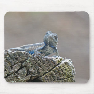 Tapis De Souris Alligator du ventre bleu Lizard