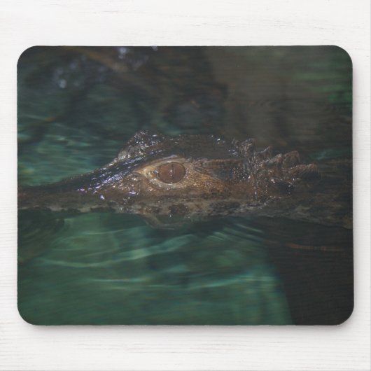 Tapis De Souris Alligator Mousepad (Devant)