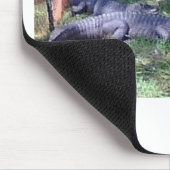 Tapis De Souris Alligator ! ! Zoo Animaux design (Coin)