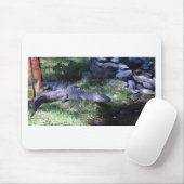 Tapis De Souris Alligator ! ! Zoo Animaux design (Avec souris)