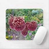 Tapis De Souris Allium Flower Onion Plantes (Avec souris)